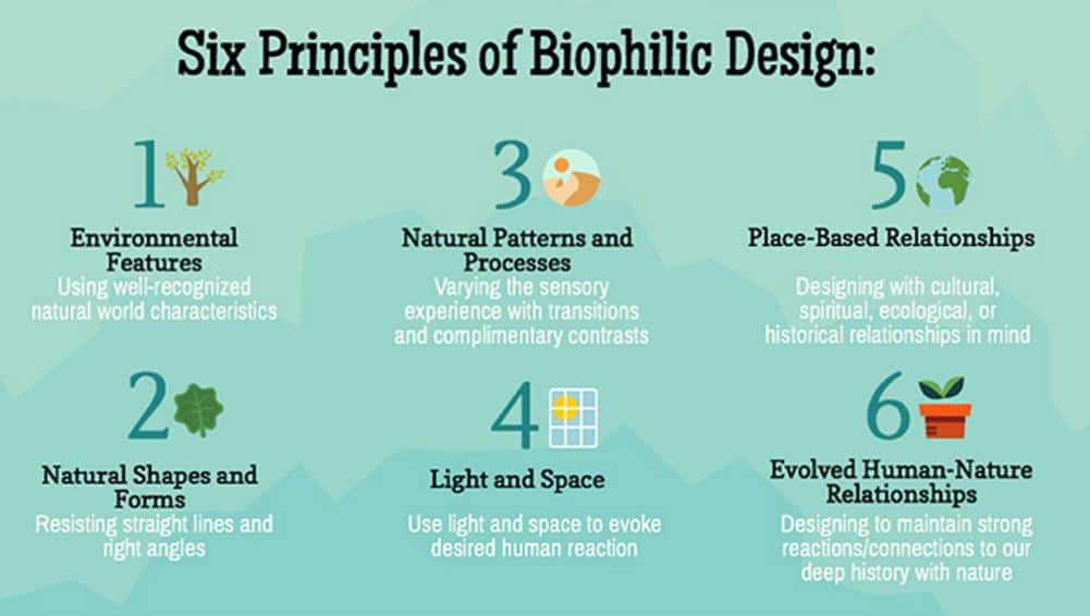 Five Reasons Biophilic Design Works In Your Industry Hubert Experts