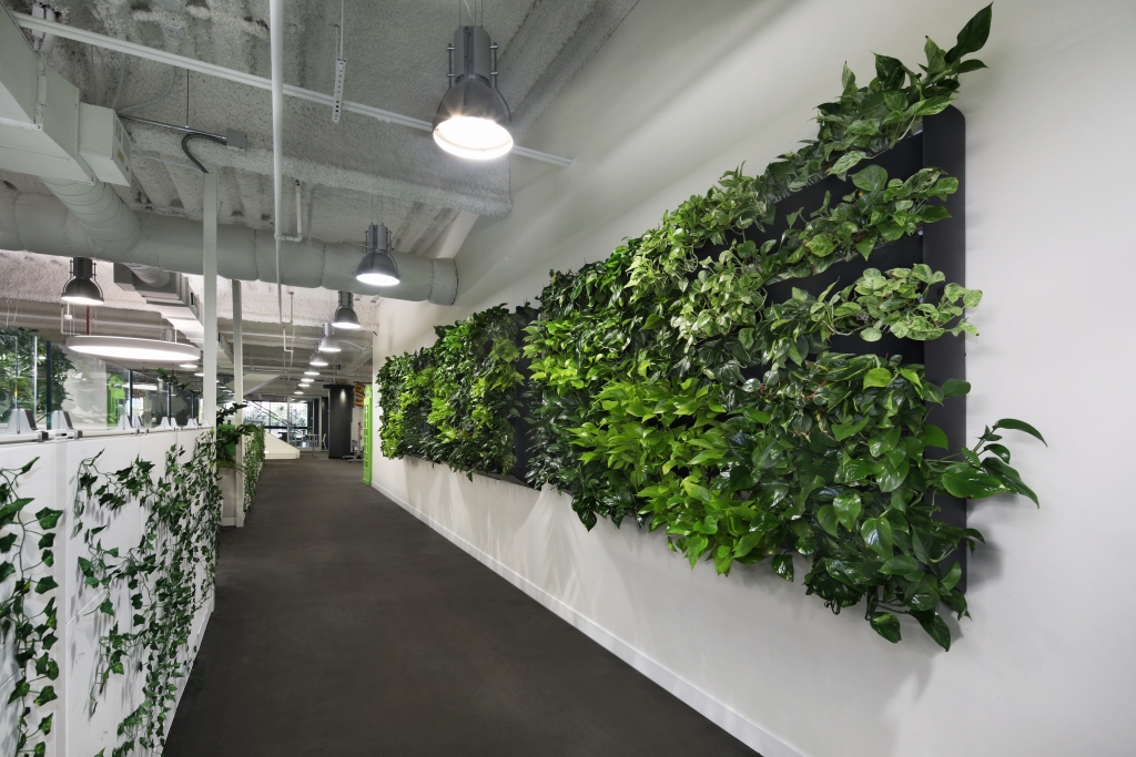Living wall with pothos Plantscapers