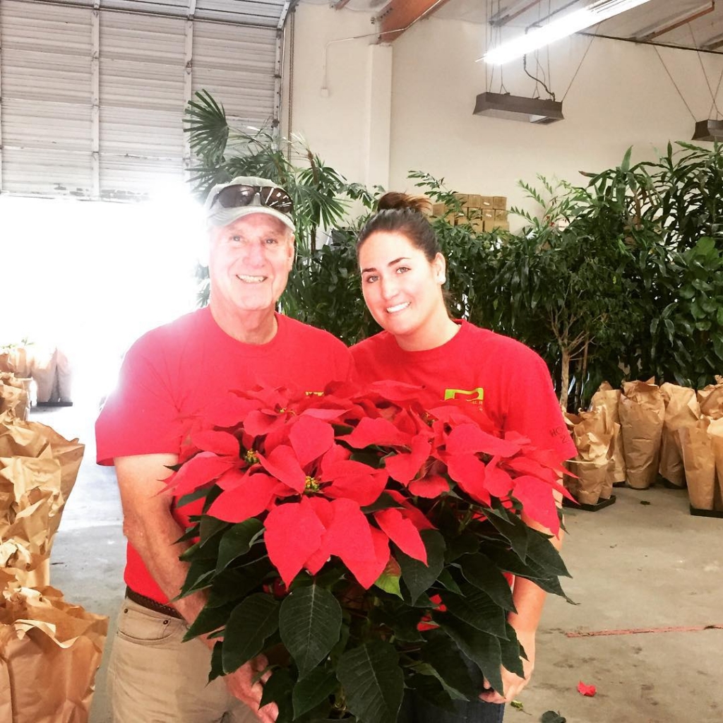 Our friendly elves are finished delivering and setting up all the poinsettias for 2015! #happyholidays #pointsettias #greathelpers