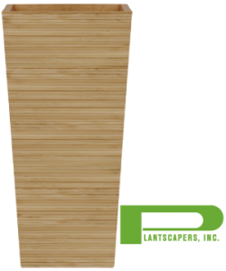 Bamboo-tall-tapered-square-logo