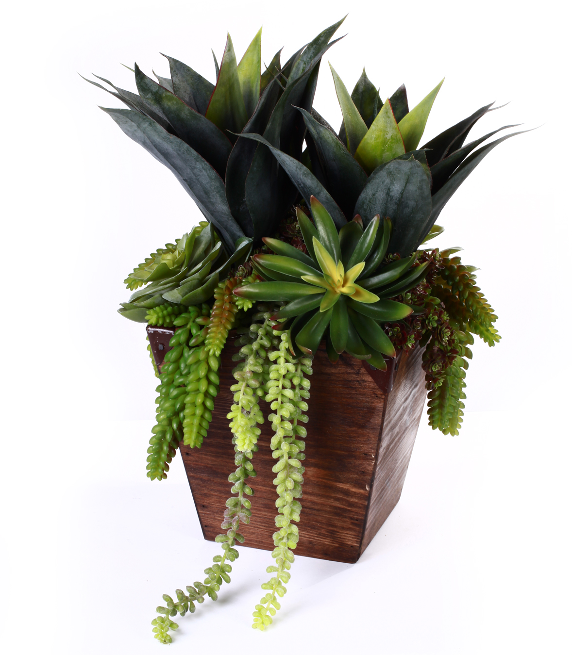 Succulents in Wood Trough - Plantscapers
