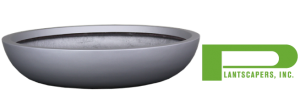 earth-low-profile-bowl-logo