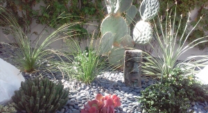 Planters with cactus and tikki head enchant a Palm Springs home's backyard.