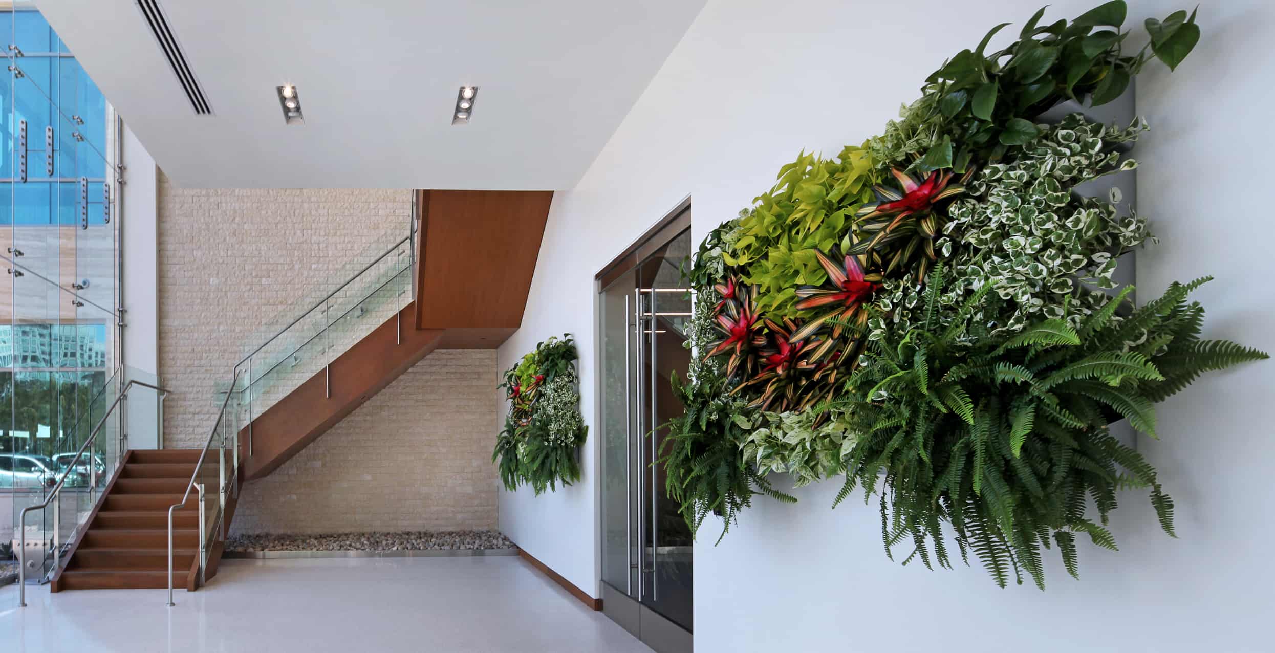 Natural light is the perfect environment for living walls.
