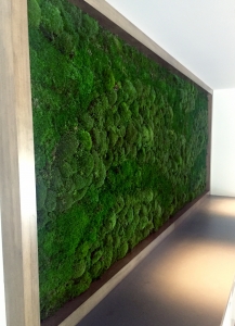 Moss wall art