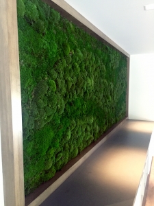textured single color moss wall