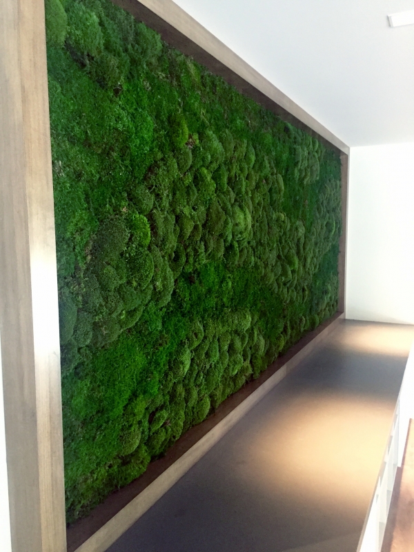free download moss walls