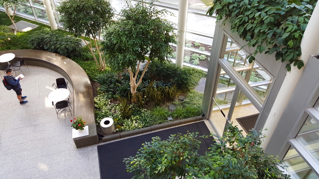 office atrium greenery