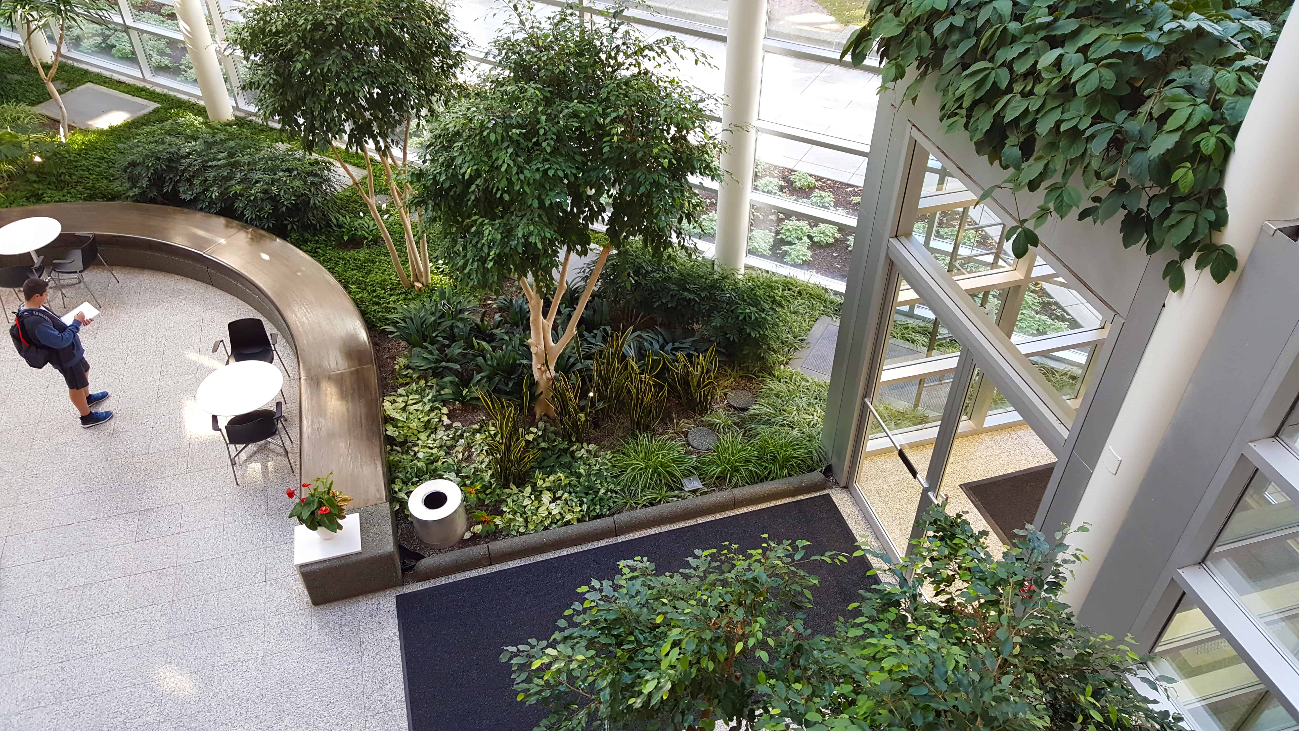 office atrium greenery - Plantscapers