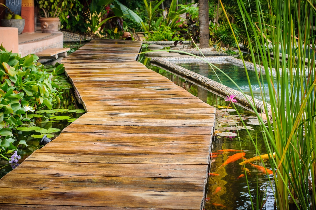 7 Reasons Why Plants Are Valuable and Important Plantscapers