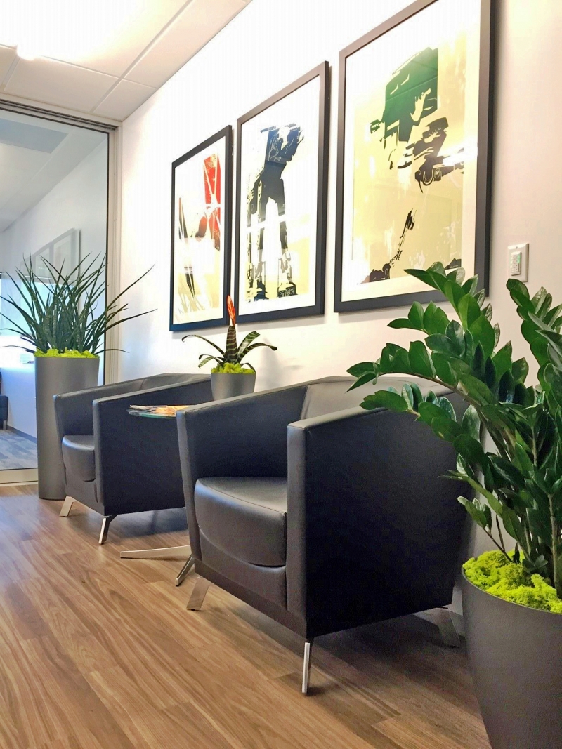 4 Reasons Plants Bring Wellness to Hospitals Plantscapers