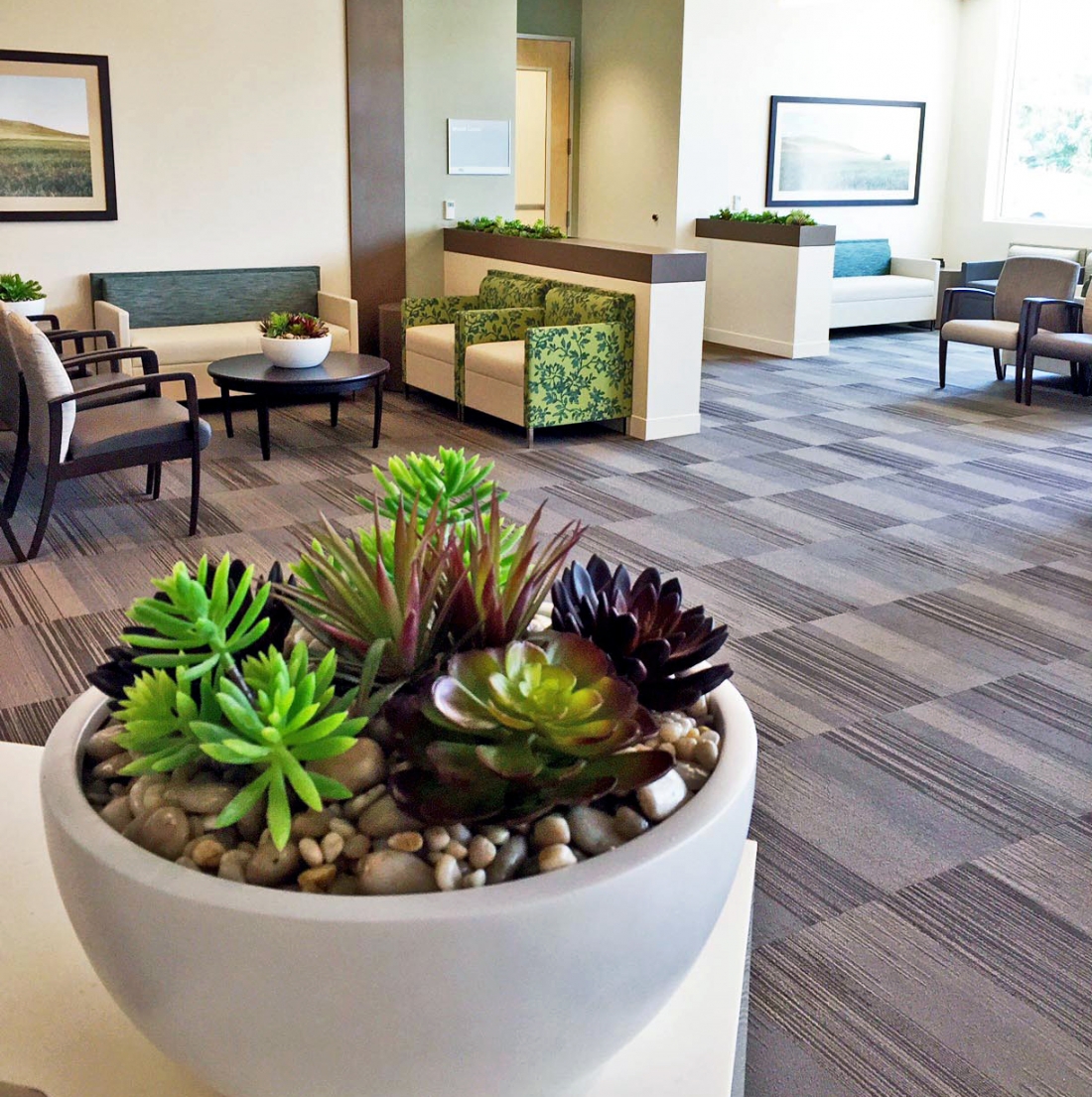 4 Reasons Plants Bring Wellness to Hospitals Plantscapers