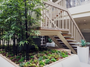 After: The effect of interior plantscaping is stunning.