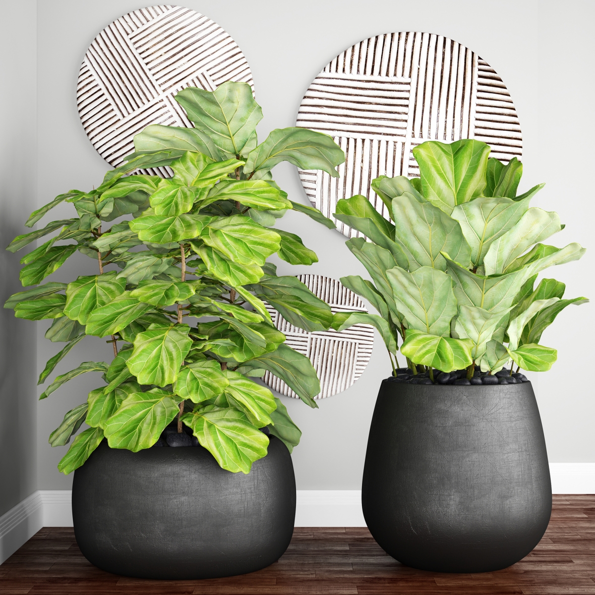 4 HumidityLoving Plants to Green Up the Bathroom Plantscapers