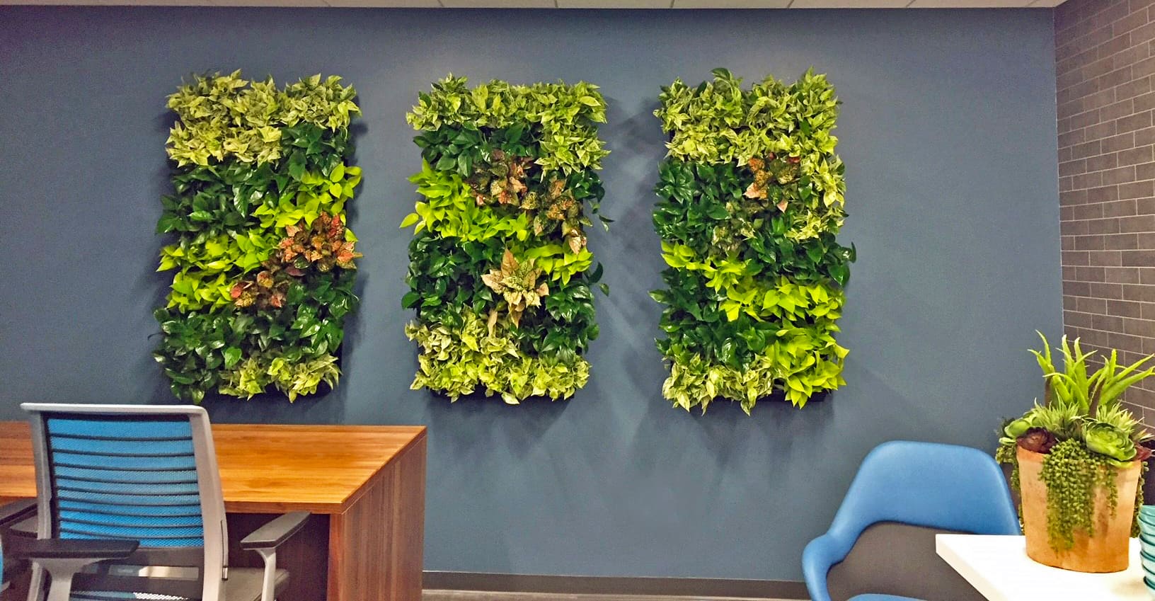 Indoor environments become healthier with the presence of plants in containers and hanging on walls as living art..