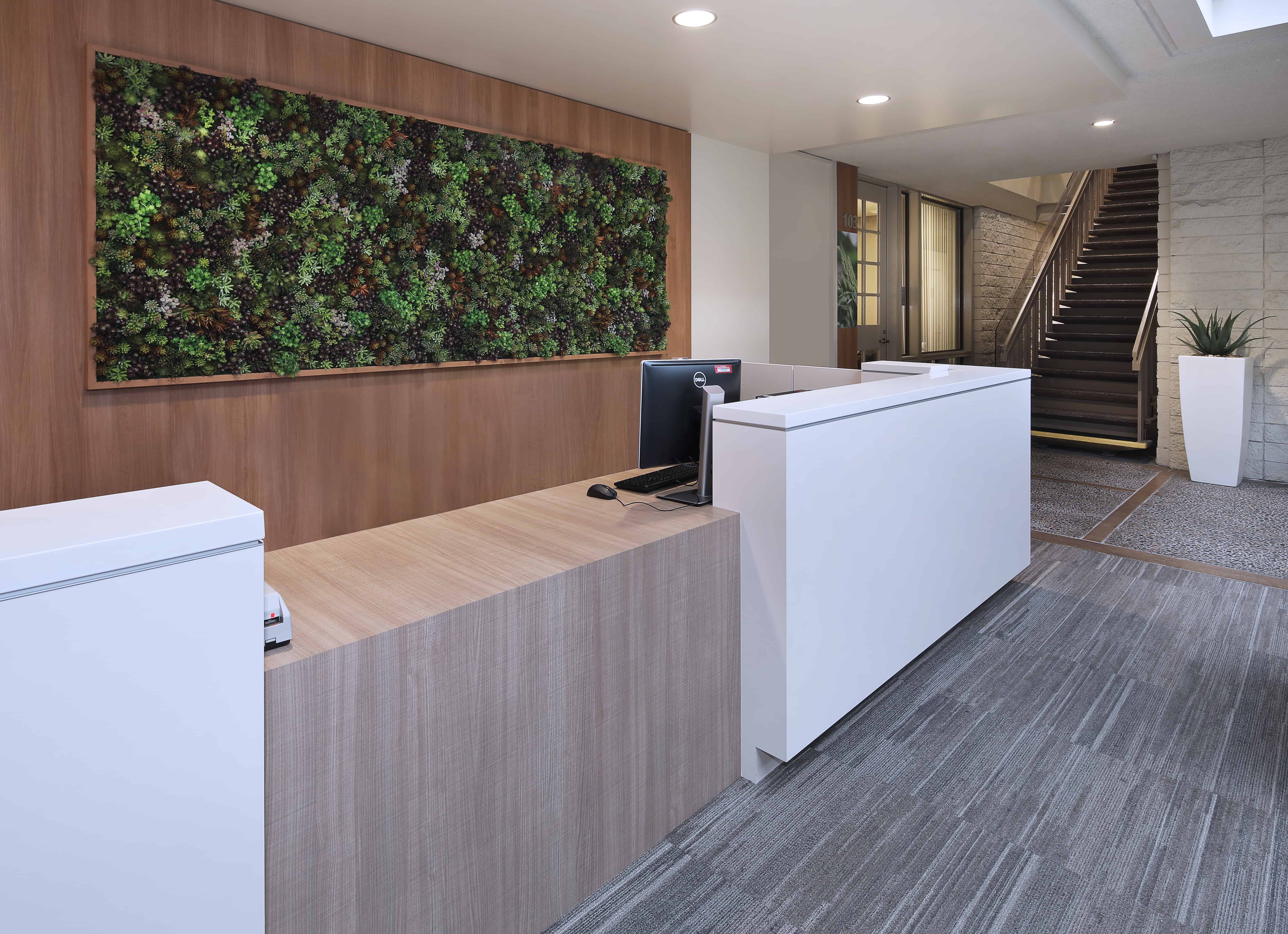 moss sedum wall created for Medical Building Lobby