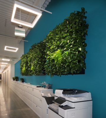 Living wall designed by Plantscapers