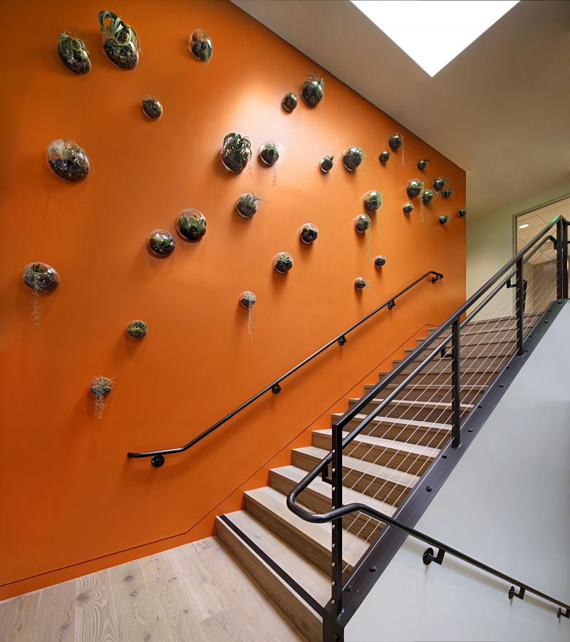 Easter Seals Plantscapers