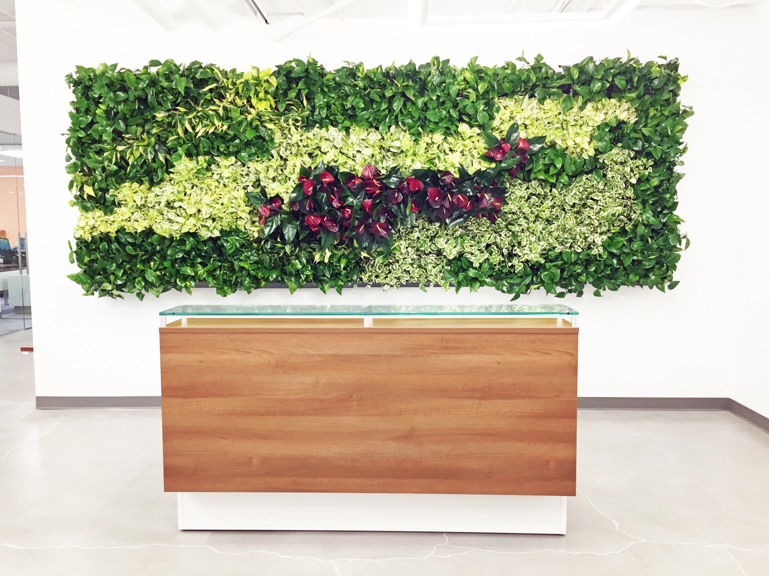 Vertical Art Living Walls Plantscapers