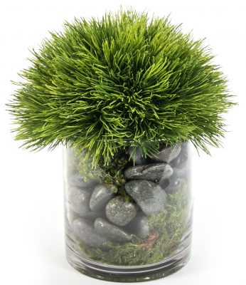 Grass in Round Glass
