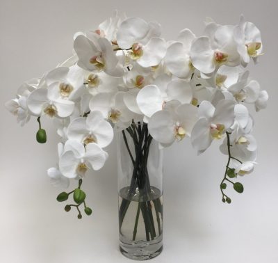 White Orchid Bouquet in Glass Vase
