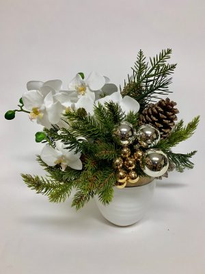 White Orchid and Pine in White