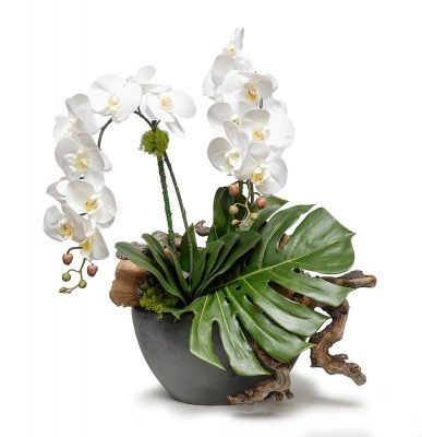 White Orchid with Monstero in Gunmetal Vase