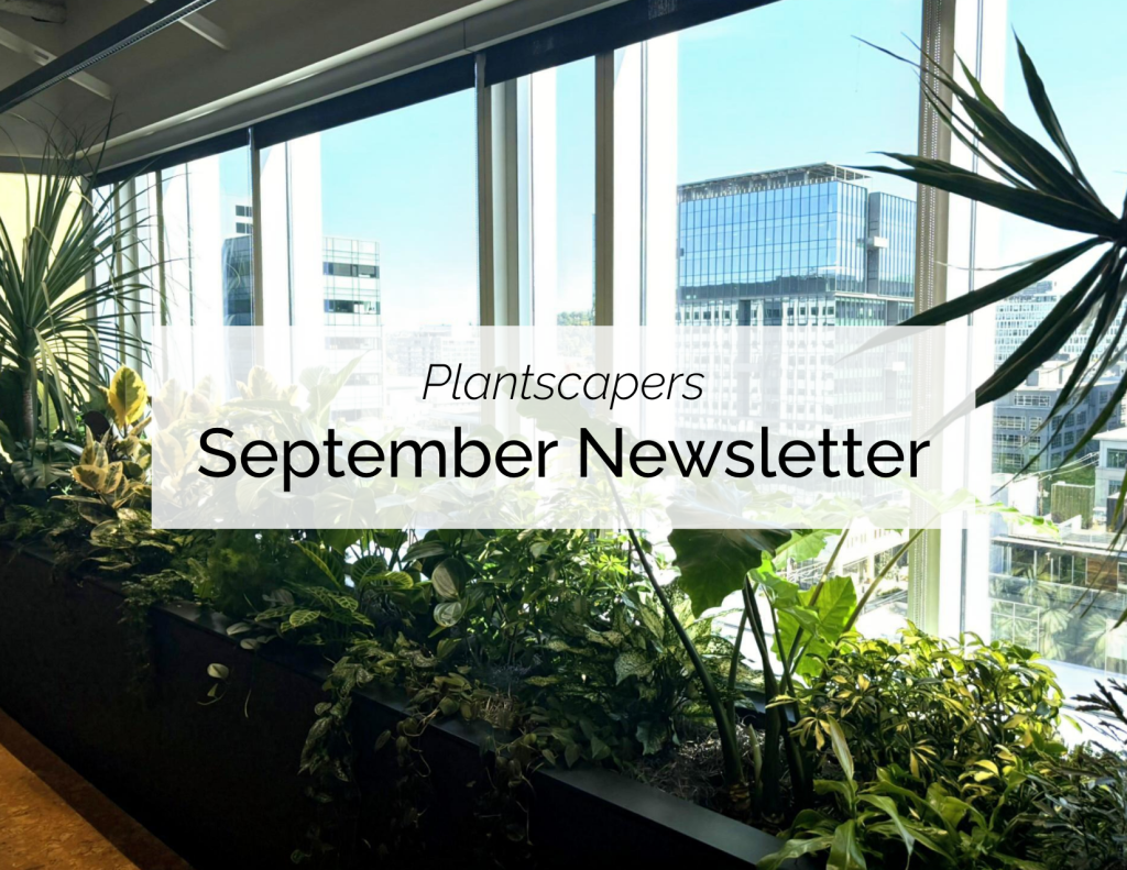 September Newsletter