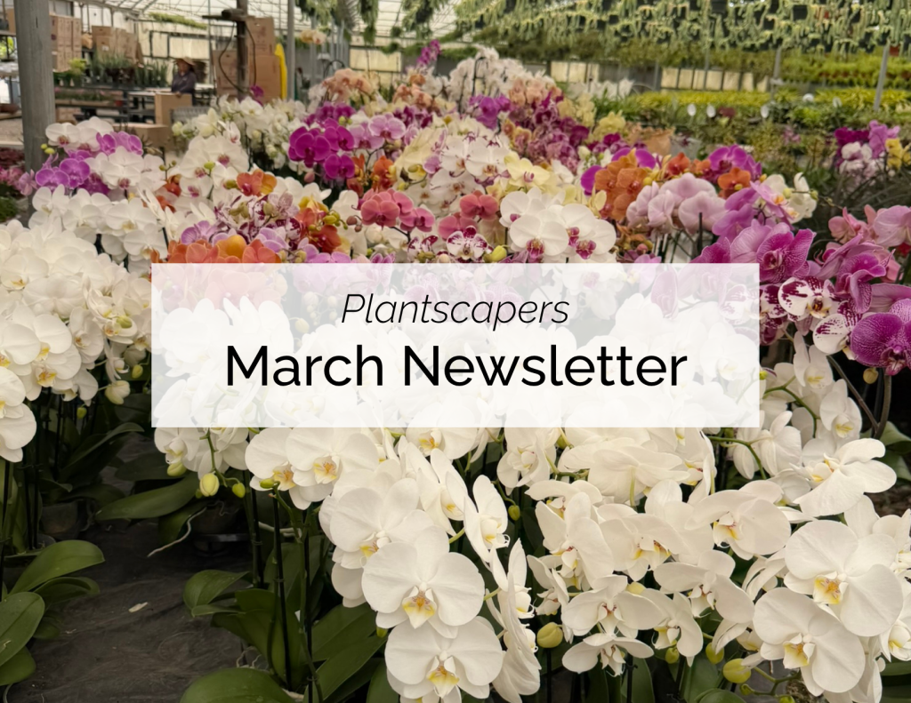 March Newsletter