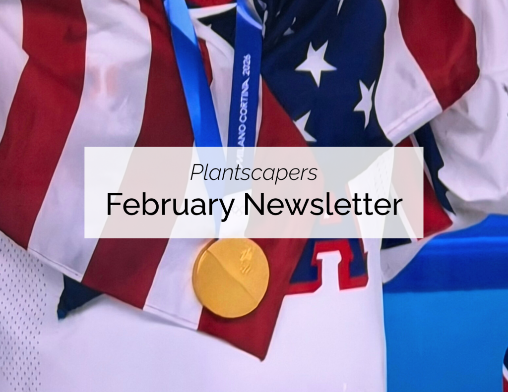 February Newsletter