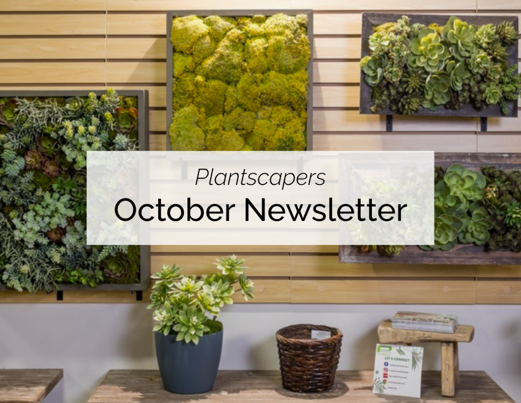 October Newsletter