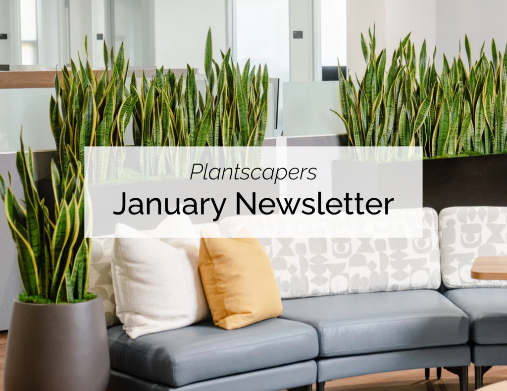 January Newsletter