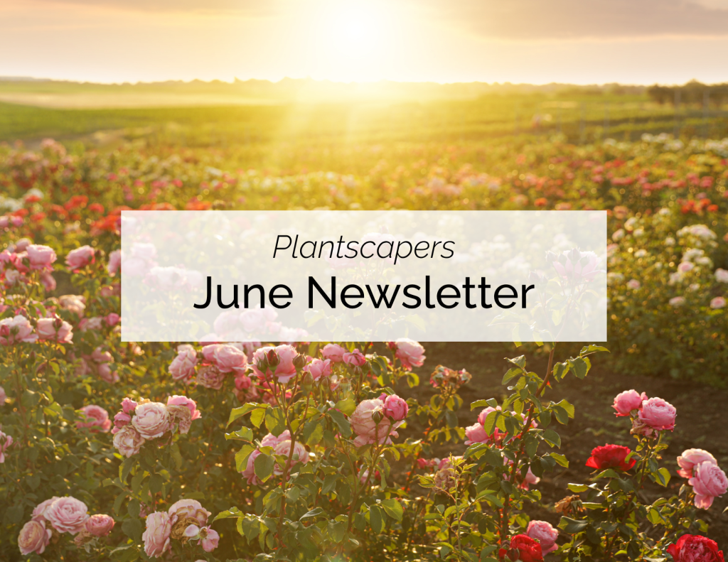 June Newsletter