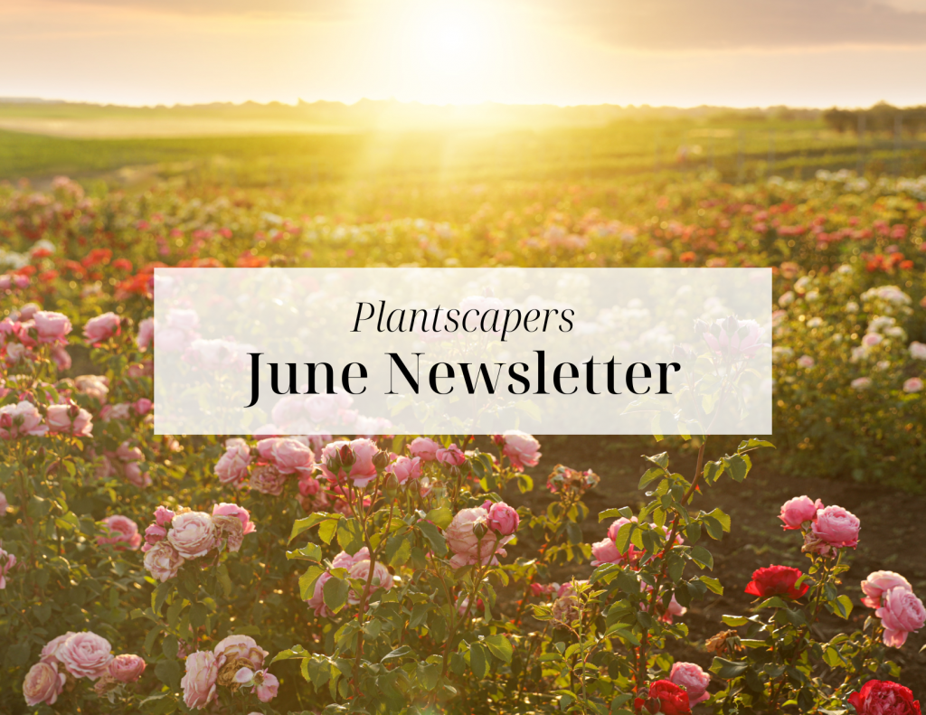 June Newsletter