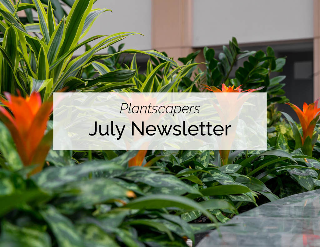 Plantscapers Email Template (27)