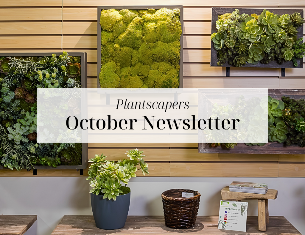 Copy of NEW PLANTSCAPERS EMAIL DESIGN (5)