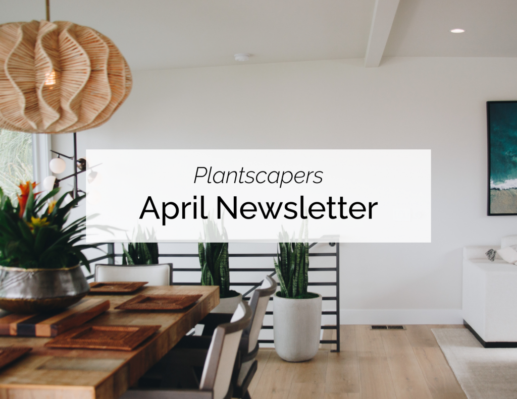 NEW PLANTSCAPERS EMAIL DESIGN