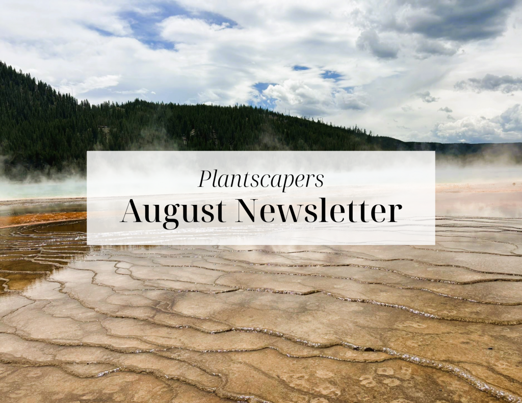 Plantscapers Email Template (5)