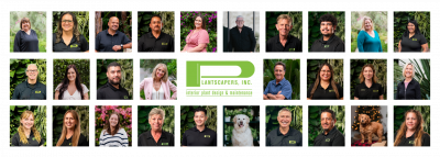 plantscapers-team-2026
