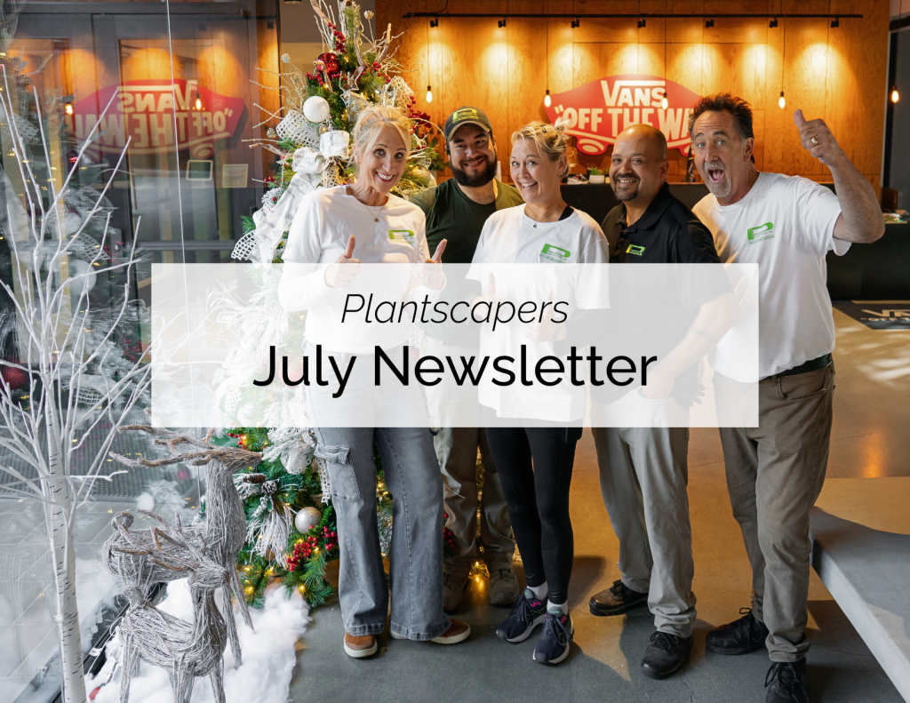 NEW PLANTSCAPERS EMAIL DESIGN