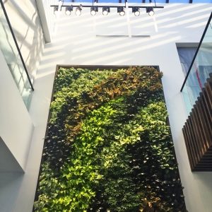 Living wall with irrigation system