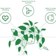 Living_Plant-Benefitsgpgb-web