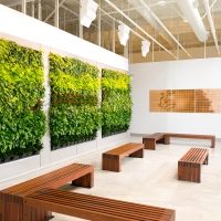 Pacific Dental-Living Wall-trays