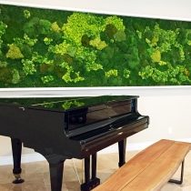 panoramic moss wall for residence