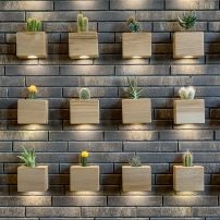 cactus-lined-on-wall