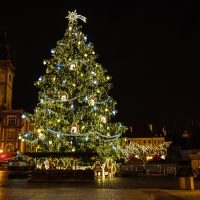 christmas-tree-european