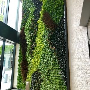 complements of Botanical Designs(must give credit)