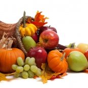 cornucopia-fruits-veggies