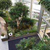 office atrium greenery