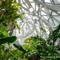 thwsperesinterior1-blog